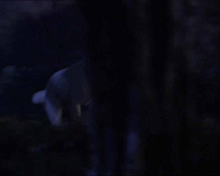 Charmed-Online-dot-320LookWhosBarking2020.jpg Charmed-Online-dot-320LookWhosBarking2020.jpg