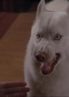 Charmed-Online-dot-320LookWhosBarking1042.jpg
