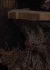 Charmed-Online-dot-322AllHellBreaksLoose0514.jpg
