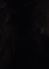 Charmed-Online-dot-322AllHellBreaksLoose0519.jpg