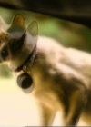 Bestandsnaam=charmed-online_dot_net_OpeningCreditsS3-00052.png
Bestandsgrootte=731KiB
Afmetingen = 768x576
Datum toegevoegd = jul 08, 2010 charmed-online_dot_net_OpeningCreditsS3-00052.png