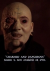 Charmed-Online-dot-TheStoryOfCharmed-CharmedAgain0209.jpg