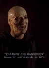 Charmed-Online-dot-TheStoryOfCharmed-CharmedAgain0211.jpg