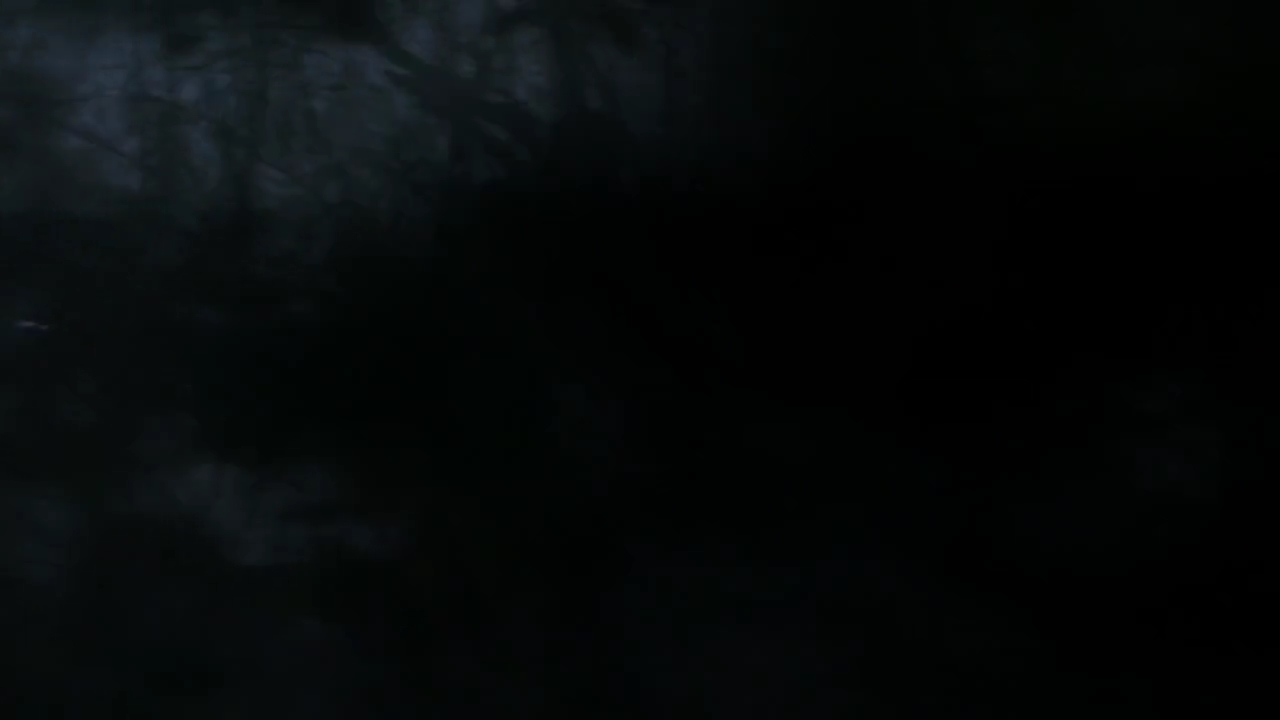 Charmed-Online-dot-nl_Charmed-1x18TheReplacement01498.jpg