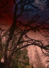 Charmed-Online-dot-nl_Charmed-1x21RedRain01814.jpg