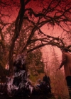 Charmed-Online-dot-nl_Charmed-1x21RedRain02010.jpg