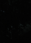 Charmed-Online-dot-nl_2x05TheTruthAboutCatsAndDogs00013.jpg