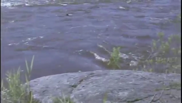 Charmed-Online-dot-nl_AnotherDay1562.jpg Charmed-Online-dot-nl_AnotherDay1562.jpg