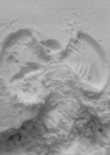 Bestandsnaam=323.jpg
Bestandsgrootte=94KiB
Afmetingen = 1080x1350
Datum toegevoegd = aug 07, 2016 323.jpg