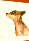 155.jpg