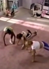 Charmed-Online-dot-nl_AlyssaMilanosTeenSteamWorkout0564.jpg