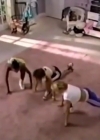 Charmed-Online-dot-nl_AlyssaMilanosTeenSteamWorkout0570.jpg