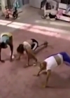 Bestandsnaam=Charmed-Online-dot-nl_AlyssaMilanosTeenSteamWorkout0613.jpg
Bestandsgrootte=140KiB
Afmetingen = 640x480
Datum toegevoegd = jan 03, 2020 Charmed-Online-dot-nl_AlyssaMilanosTeenSteamWorkout0613.jpg