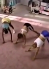 Bestandsnaam=Charmed-Online-dot-nl_AlyssaMilanosTeenSteamWorkout0617.jpg
Bestandsgrootte=151KiB
Afmetingen = 640x480
Datum toegevoegd = jan 03, 2020 Charmed-Online-dot-nl_AlyssaMilanosTeenSteamWorkout0617.jpg