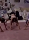 Bestandsnaam=Charmed-Online-dot-nl_AlyssaMilanosTeenSteamWorkout0618.jpg
Bestandsgrootte=137KiB
Afmetingen = 640x480
Datum toegevoegd = jan 03, 2020 Charmed-Online-dot-nl_AlyssaMilanosTeenSteamWorkout0618.jpg