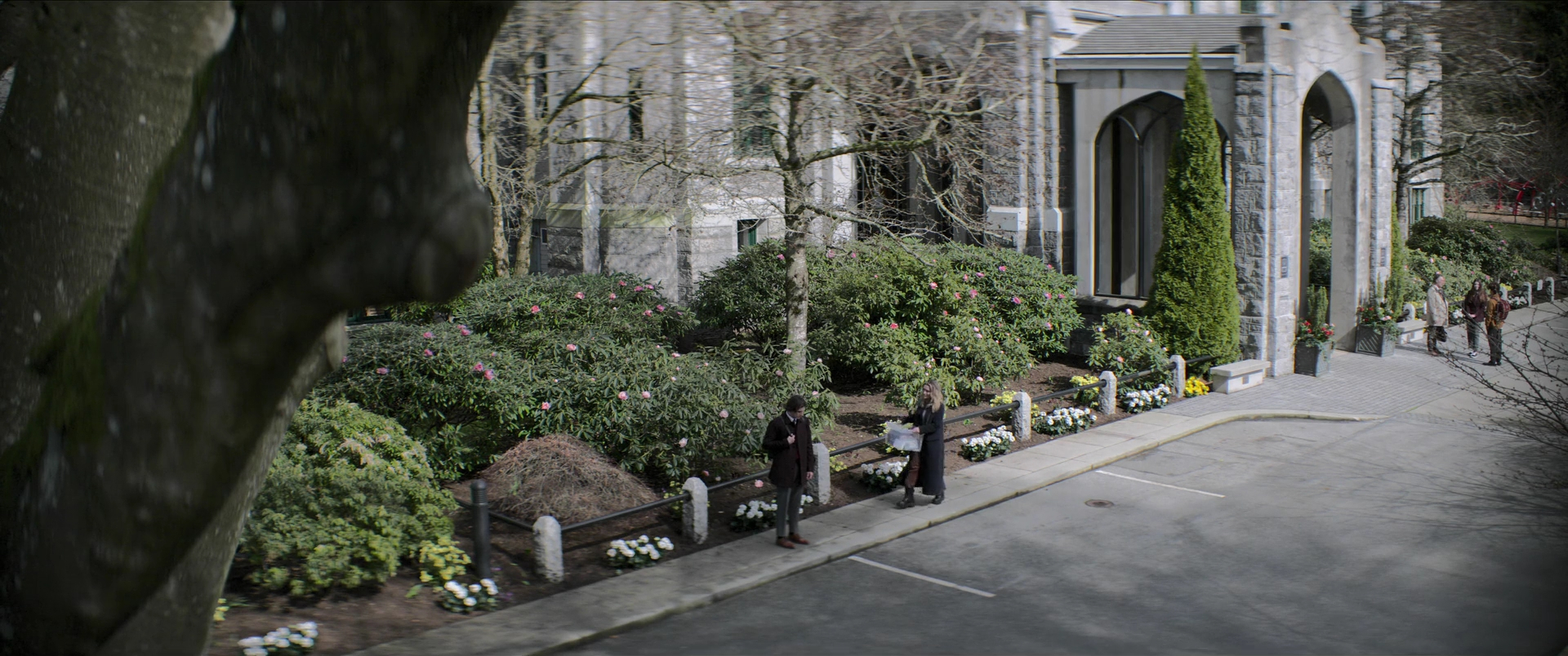 Charmed-Online-dot-nl_Brazen2212.jpg Charmed-Online-dot-nl_Brazen2212.jpg