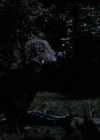 Charmed-Online-dot-nl_Brazen1291.jpg