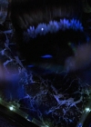 charmed-online-dot-net_BuyingTheCow1829.jpg