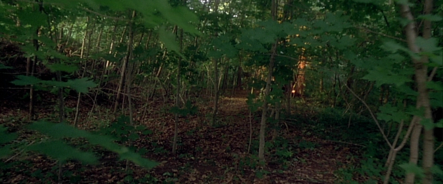 charmed-online-dot-net_EmbraceOfTheVampire2211.jpg