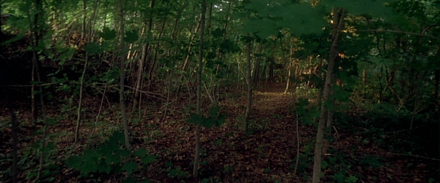 charmed-online-dot-net_EmbraceOfTheVampire2212.jpg
