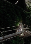 charmed-online-dot-net_EmbraceOfTheVampire0495.jpg
