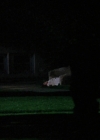 charmed-online-dot-net_EmbraceOfTheVampire0742.jpg