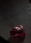 charmed-online-dot-net_EmbraceOfTheVampire1724.jpg