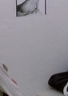 charmed-online-dot-net_EmbraceOfTheVampire2749.jpg