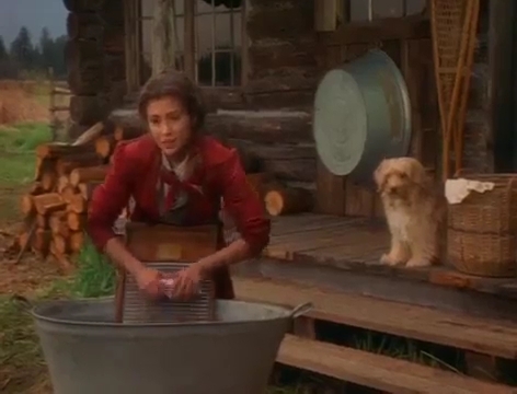 Charmed-Online-dot-nl_Goldrush4131.jpg