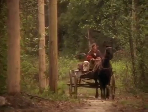 Charmed-Online-dot-nl_Goldrush4201.jpg