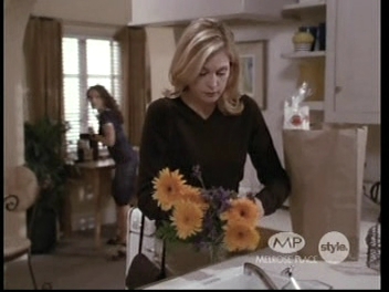 Charmed-Online-dot-net_MelrosePlace6x12-1008.jpg