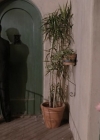 Charmed-Online-dot-net_MelrosePlace7x01-1389.jpg