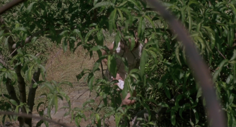 Charmed-Online-dot-net_PoisonIvy2-5815.jpg