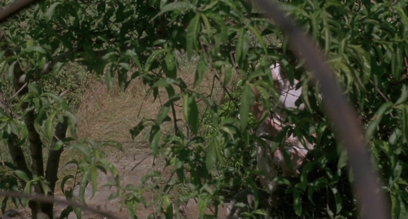 Charmed-Online-dot-net_PoisonIvy2-5816.jpg