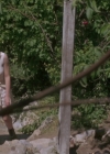 Charmed-Online-dot-net_PoisonIvy2-5802.jpg