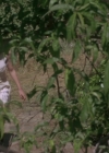 Bestandsnaam=Charmed-Online-dot-net_PoisonIvy2-5812.jpg
Bestandsgrootte=246KiB
Afmetingen = 800x429
Datum toegevoegd = mei 15, 2015 Charmed-Online-dot-net_PoisonIvy2-5812.jpg