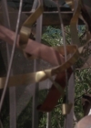 Bestandsnaam=Charmed-Online-dot-net_PoisonIvy2-5954.jpg
Bestandsgrootte=199KiB
Afmetingen = 800x429
Datum toegevoegd = mei 15, 2015 Charmed-Online-dot-net_PoisonIvy2-5954.jpg