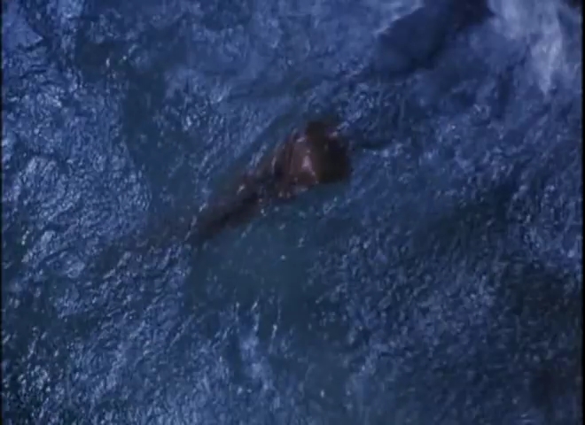 Charmed-Online-dot-nl_ToBraveAlaska1909.jpg
