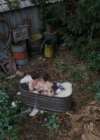 Charmed-Online-dot-nl_ToBraveAlaska0861.jpg