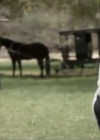 Charmed-Online-dot-net_ExpectingAmish0121.jpg
