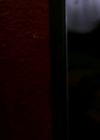Charmed-Online-dot_nl-AlienRising2408.jpg