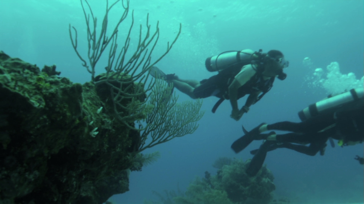 charmed-online-dot-NL-poseidonrex0072.jpg charmed-online-dot-NL-poseidonrex0072.jpg