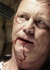 charmed-online-dot-NL-poseidonrex0945.jpg