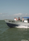Bestandsnaam=charmed-online-dot-NL-poseidonrex1341.jpg
Bestandsgrootte=340KiB
Afmetingen = 1163x654
Datum toegevoegd = jun 26, 2016 charmed-online-dot-NL-poseidonrex1341.jpg