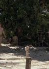 Charmed-Online-dot-NL-ReturntotheBlueLagoon0091.jpg
