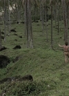 Charmed-Online-dot-NL-ReturntotheBlueLagoon0995.jpg