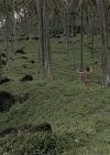Charmed-Online-dot-NL-ReturntotheBlueLagoon0998.jpg