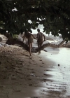 Charmed-Online-dot-NL-ReturntotheBlueLagoon1307.jpg