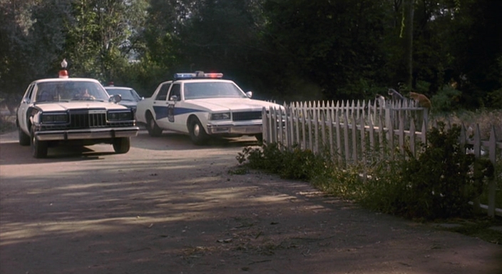 Charmed-Online_dot_nl-Sleepwalkers3765.jpg