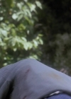 Charmed-Online_dot_nl-Sleepwalkers3375.jpg
